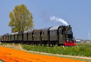 Keukenhof Gardens